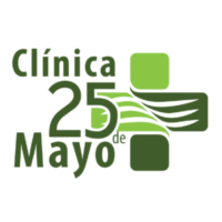 LOGO 25 DEMAYO