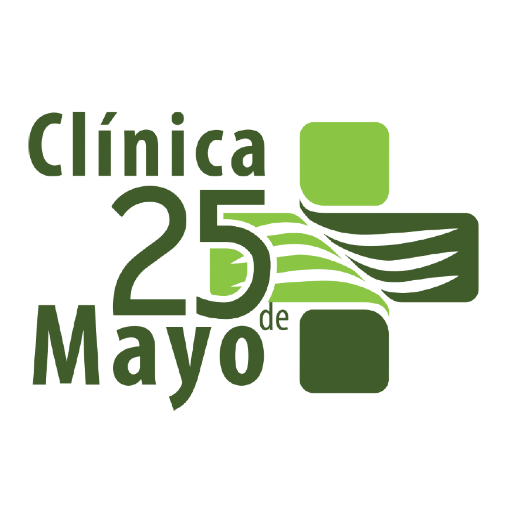 LOGO 25 DEMAYO